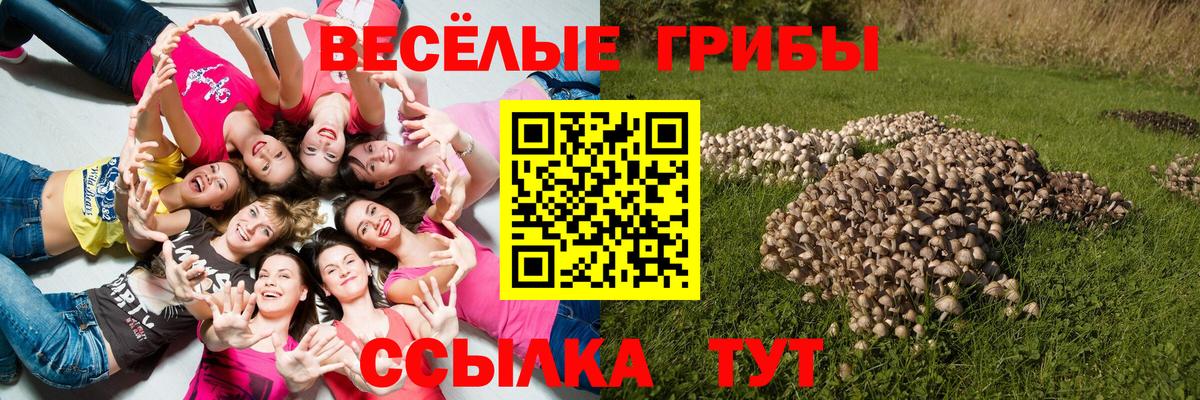 Галлюциногенные грибы Magic Shrooms  Вход с VPN  Галлюциногенные грибы мухоморы  Чехов 